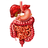 Zespół nieszczelnego jelita a osteopatia