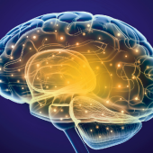 Zaburzenia neurologiczne z zaburzeniami równowagi