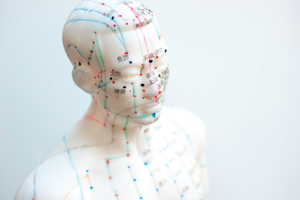 Głowa manekina z mapą punktów wykorzystywaną w akupunkturze