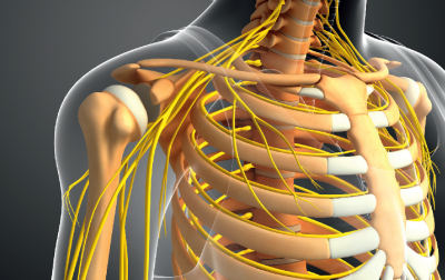 Fizjoterapia w przypadku pleksopatii pourazowej