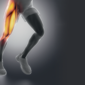 Zerwanie ścięgien w okolicy biodra i uda – diagnostyka i terapia