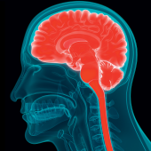 Fizjoterapia w intensywnej opiece nad pacjentami z urazami czaszkowo-mózgowymi