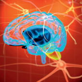 Autyzm: terapia komórkami macierzystymi