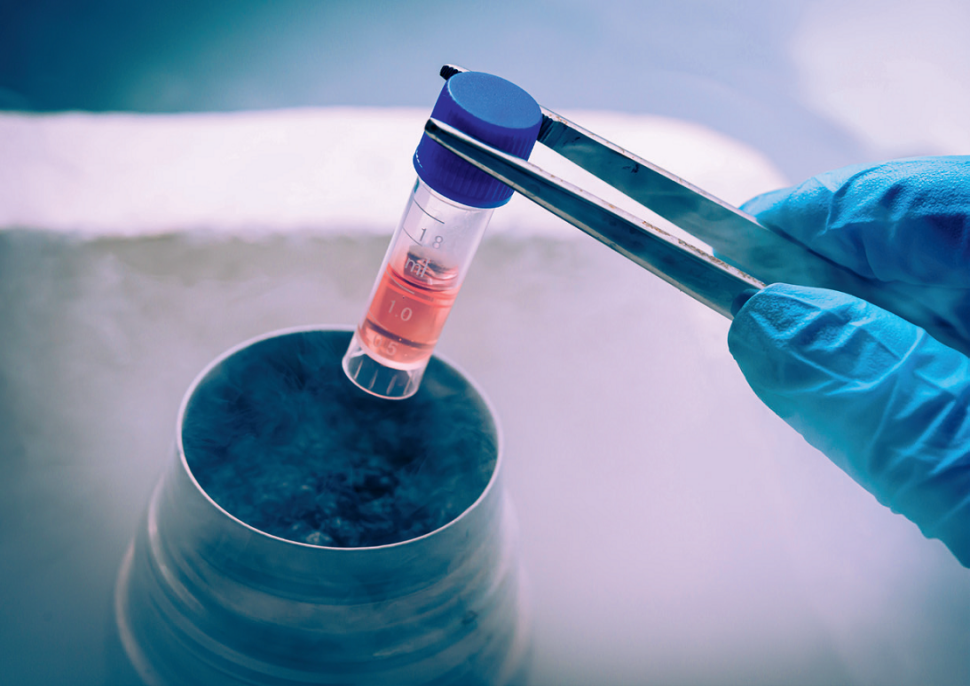 Komórki macierzyste