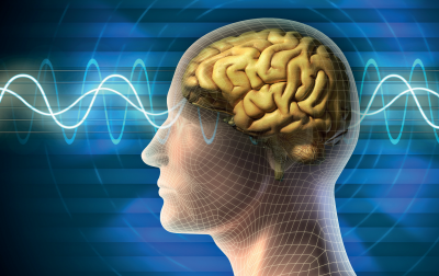 Rola nieinwazyjnej stymulacji mózgu w fizjoterapii i rehabilitacji
