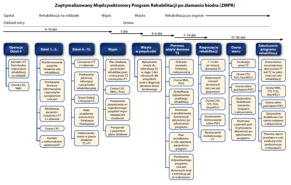 Grafika przedstawiająca Zoptymalizowany Międzysektorowy Program Rehabilitacji po złamaniu biodra (ZMPR)