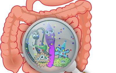 Rola mikrobioty jelitowej w przebiegu infekcji COVID-19