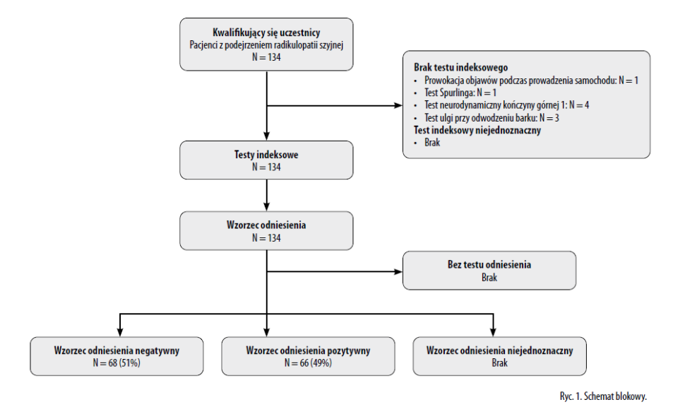 Ryc. 1. Schemat blokowy.