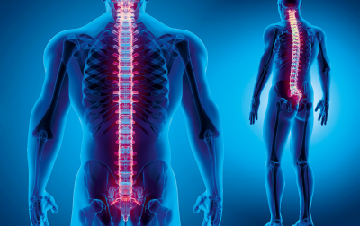 Kwasy tłuszczowe omega-3 a zdrowie mięśni szkieletowych