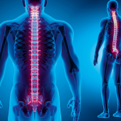 Kwasy tłuszczowe omega-3 a zdrowie mięśni szkieletowych