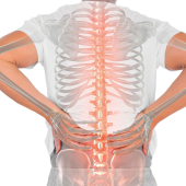 Kinematyka i wzorce aktywacji mięśni przykręgosłupowych podczas chodzenia. Różnice między pacjentami ze zwężeniem kręgosłupa lędźwiowego i grupą kontrolną